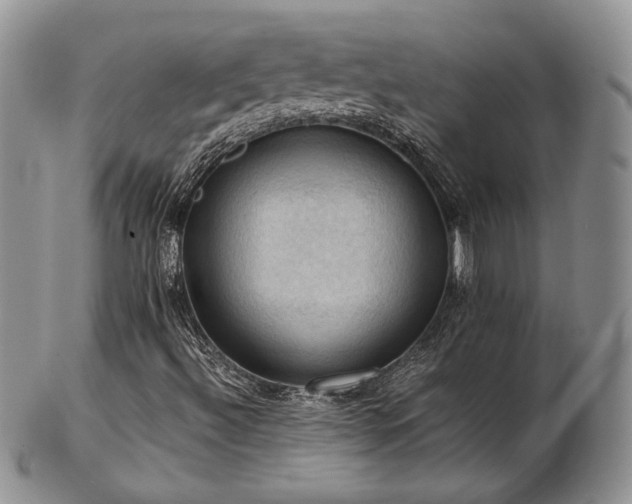 X0000103141492200808221204