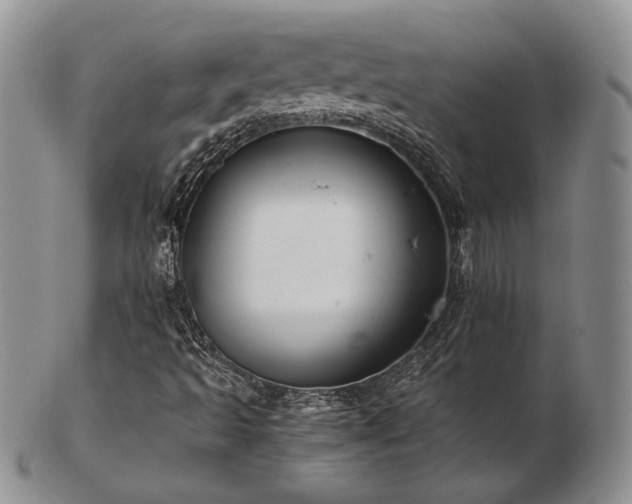 X0000103141493200808221204