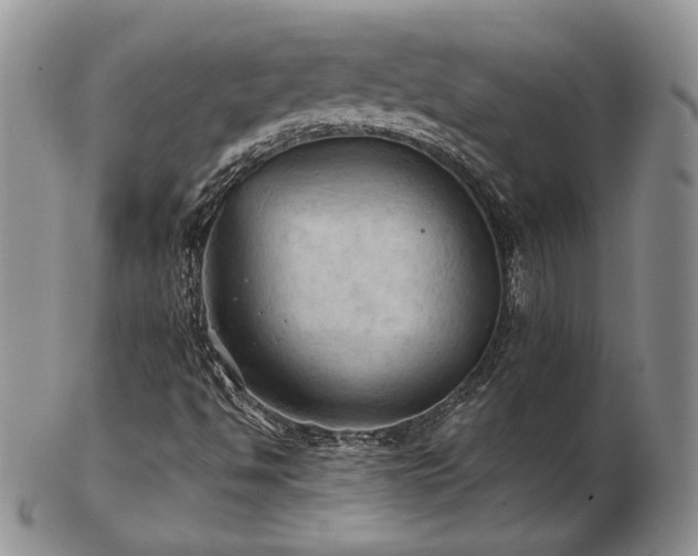 X0000103141494200808221204