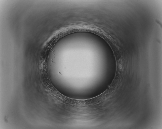 X0000103141495200808221204