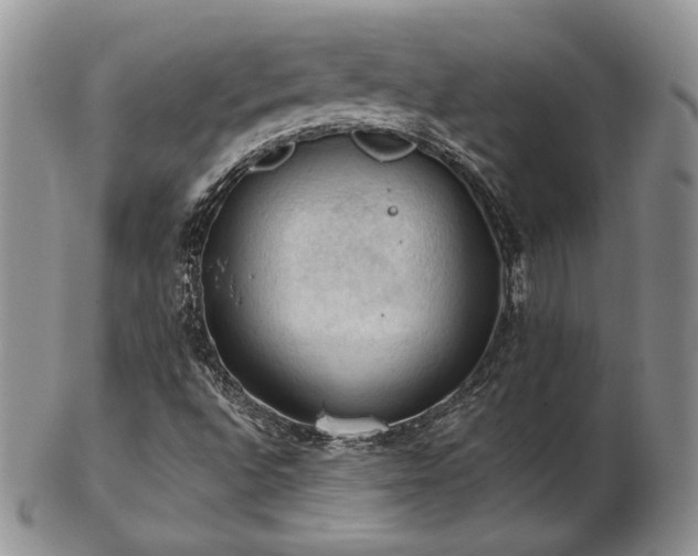 X0000103141496200808221204