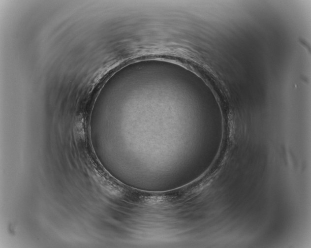 X0000103141497200808221204