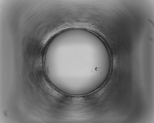 X0000103141498200808221204