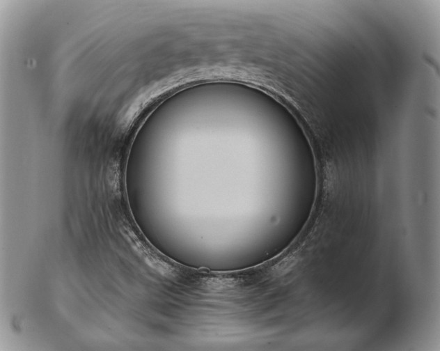 X0000103141499200808221204