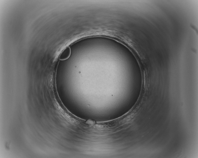 X0000103141500200808221204