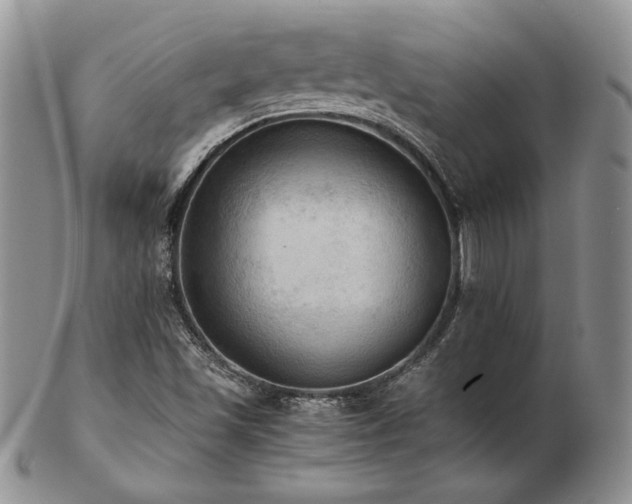 X0000103141501200808221204