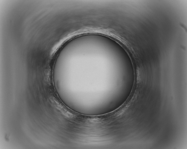 X0000103141502200808221204