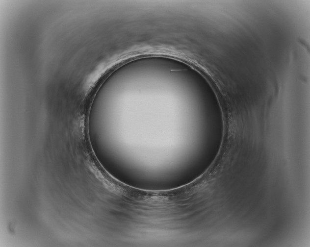 X0000103141503200808221205