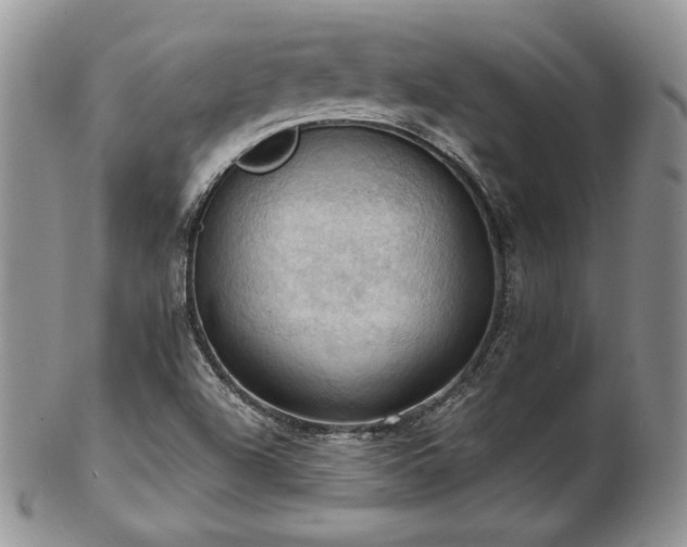 X0000103141504200808221205