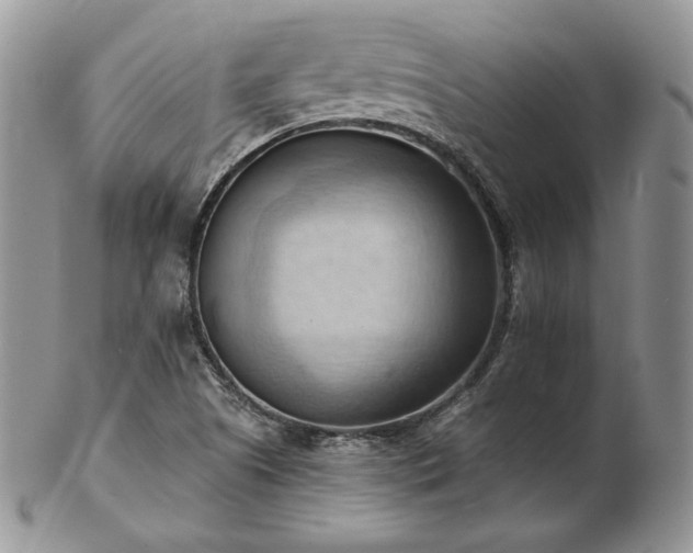 X0000103141505200808221205