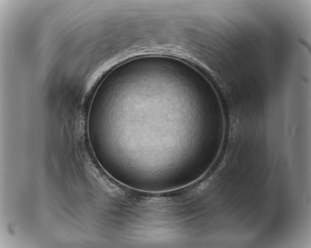 X0000103141506200808221205