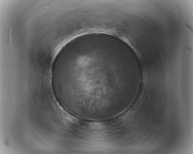 X0000103141508200808221205