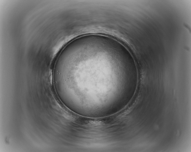 X0000103141509200808221205