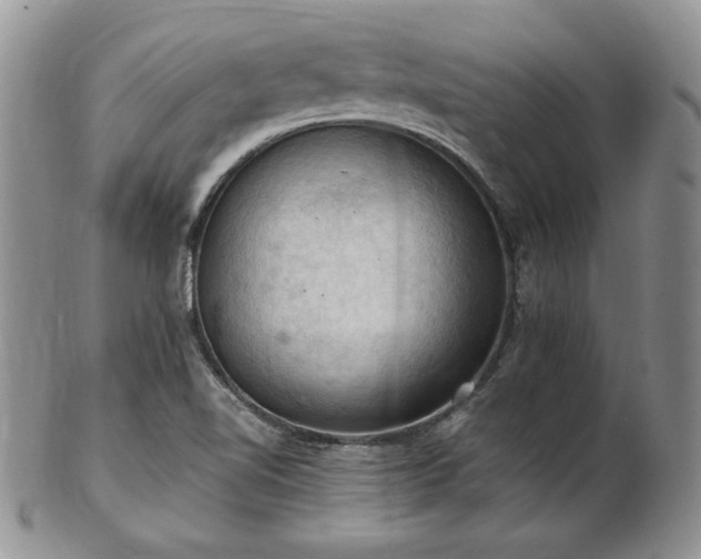 X0000103141510200808221205