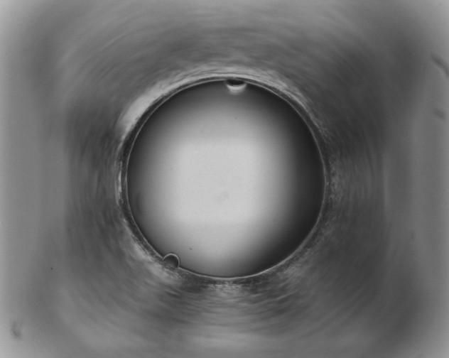 X0000103141511200808221205