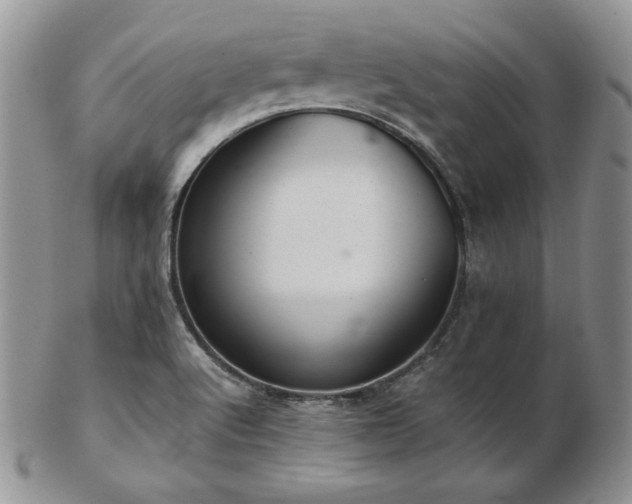 X0000103141512200808221205