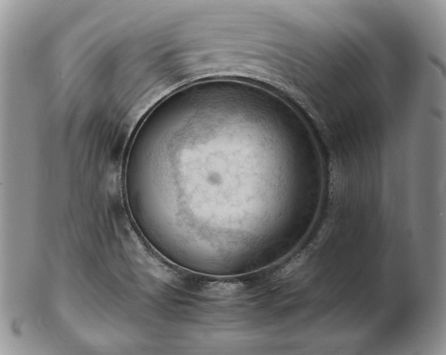 X0000103141513200808221205