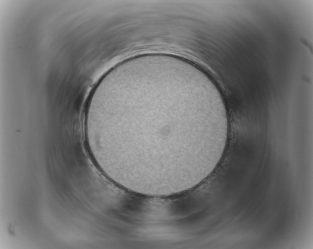 X0000103141514200808221205