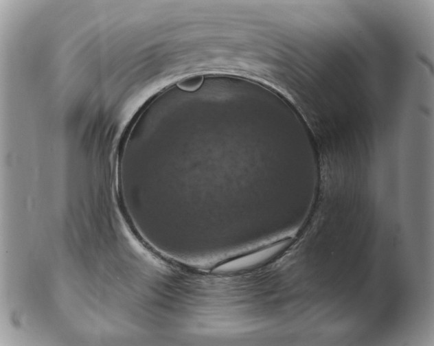 X0000103141515200808221205