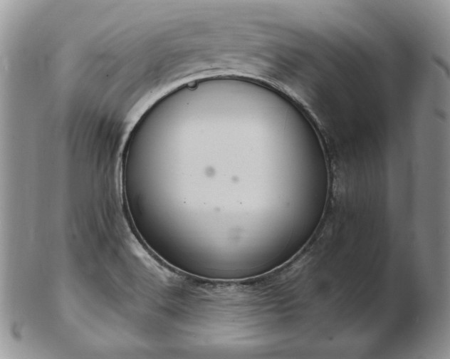 X0000103141516200808221205