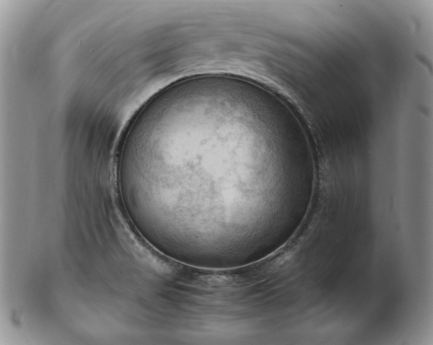 X0000103141517200808221205