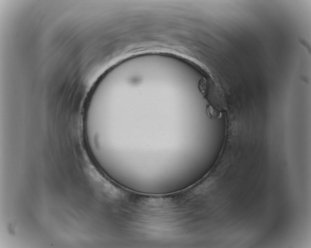 X0000103141518200808221205