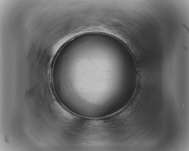 X0000103141519200808221205