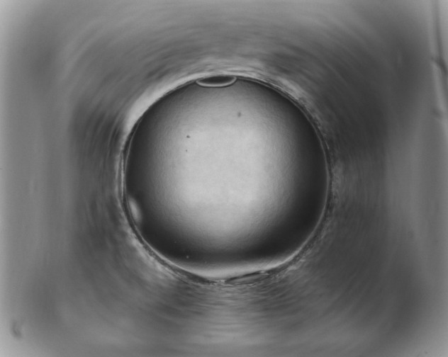 X0000103141520200808221205