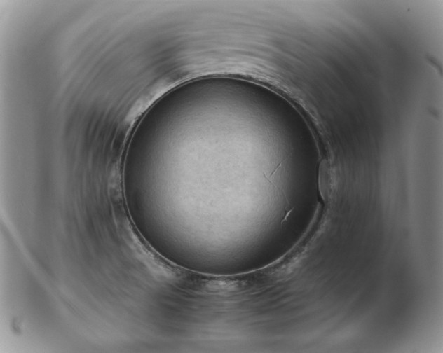 X0000103141521200808221205