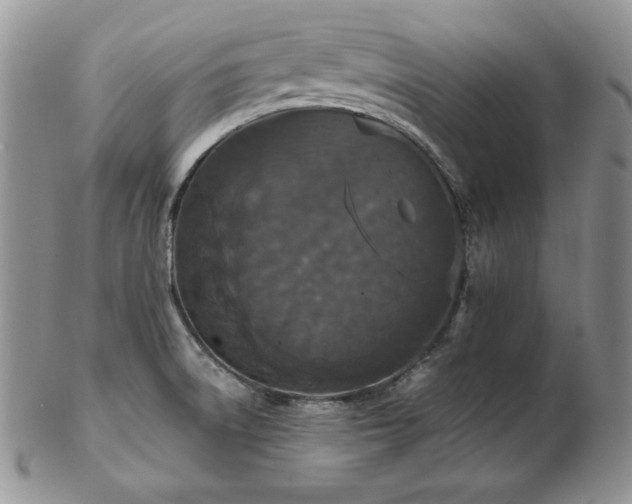 X0000103141522200808221205