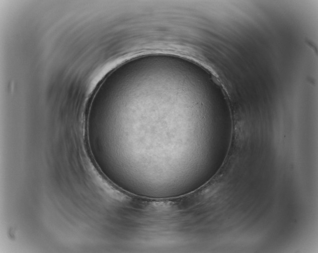 X0000103141523200808221205