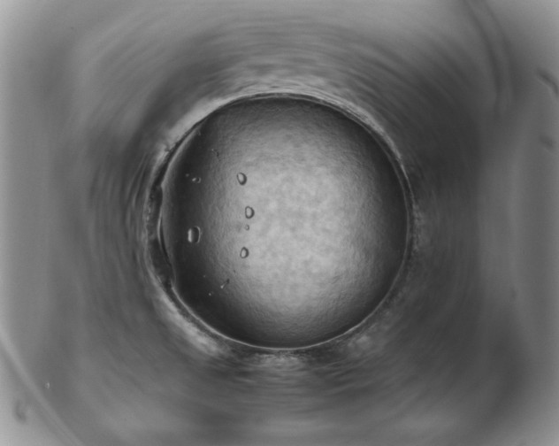 X0000103141525200808221205