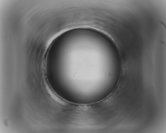 X0000103141526200808221205