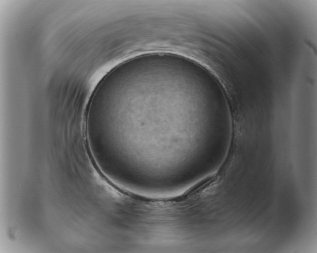 X0000103141527200808221205