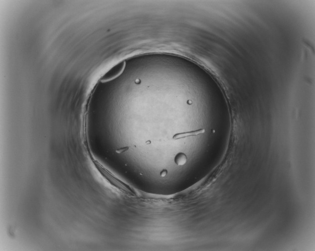 X0000103141528200808221205