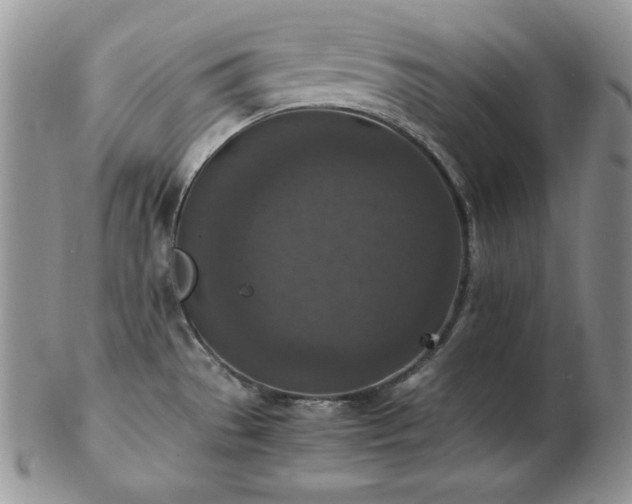 X0000103141529200808221205