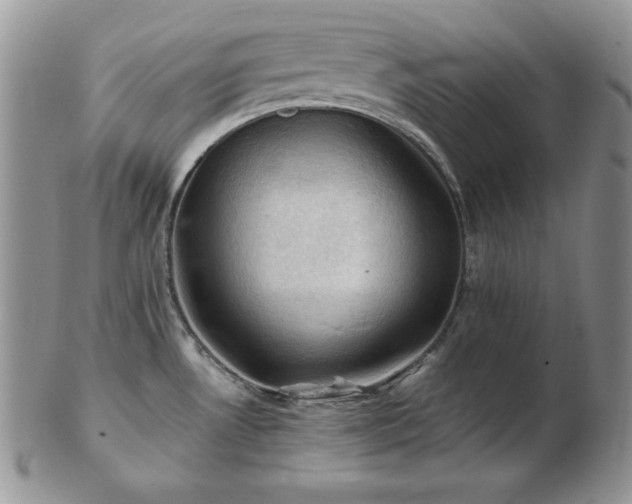 X0000103141530200808221205