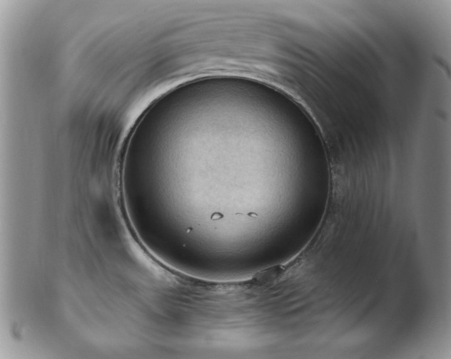 X0000103141531200808221205