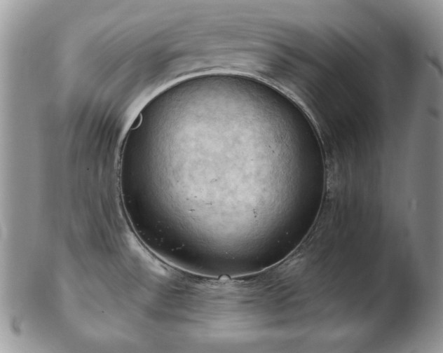 X0000103141532200808221205