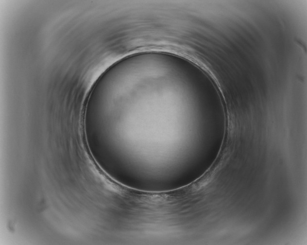 X0000103141533200808221205