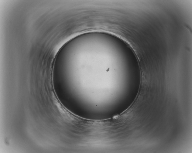 X0000103141534200808221205