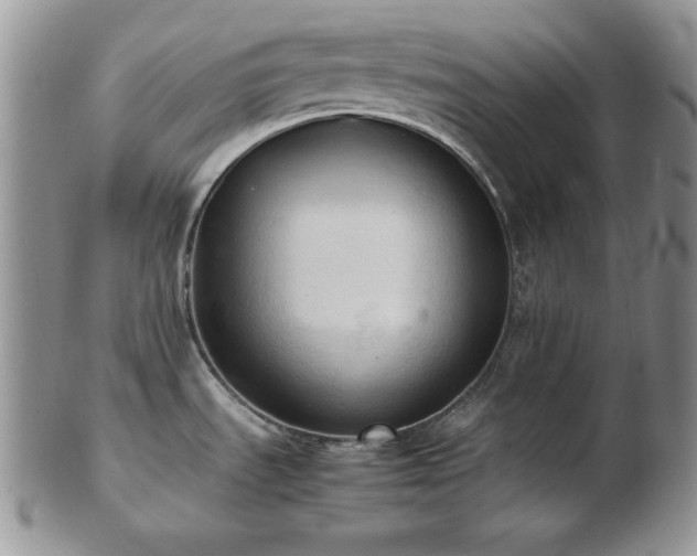 X0000103141535200808221205