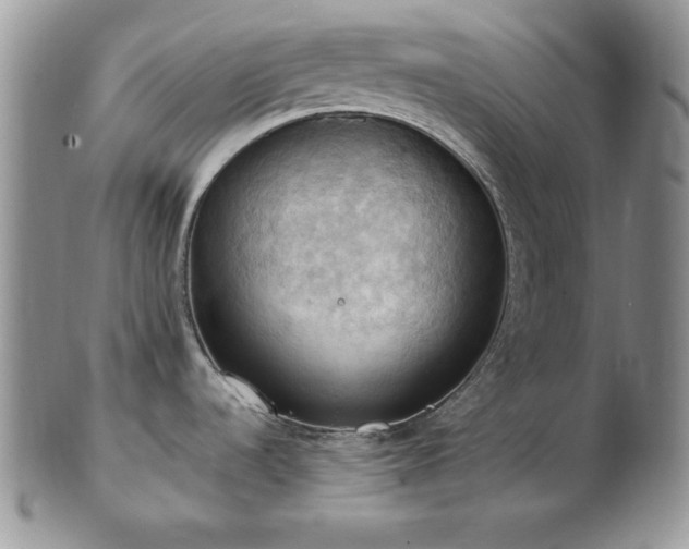 X0000103141536200808221205