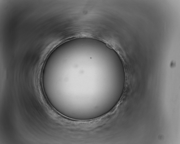 X0000103140001200808291350