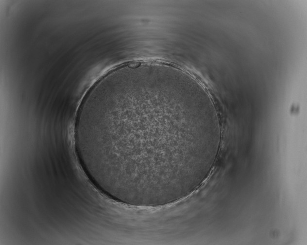 X0000103140002200808291350