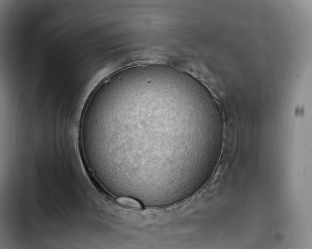 X0000103140003200808291350