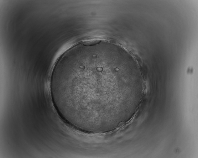 X0000103140004200808291350