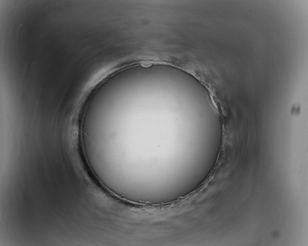 X0000103140005200808291350