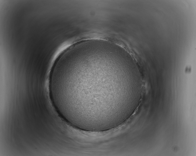 X0000103140006200808291350