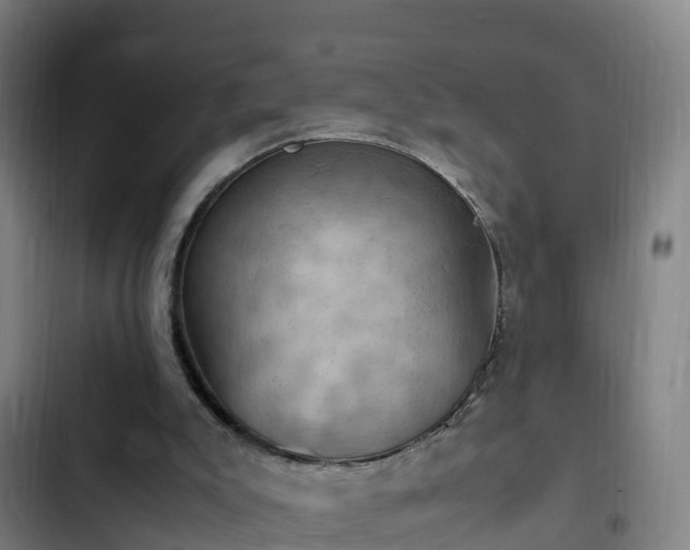 X0000103140007200808291350